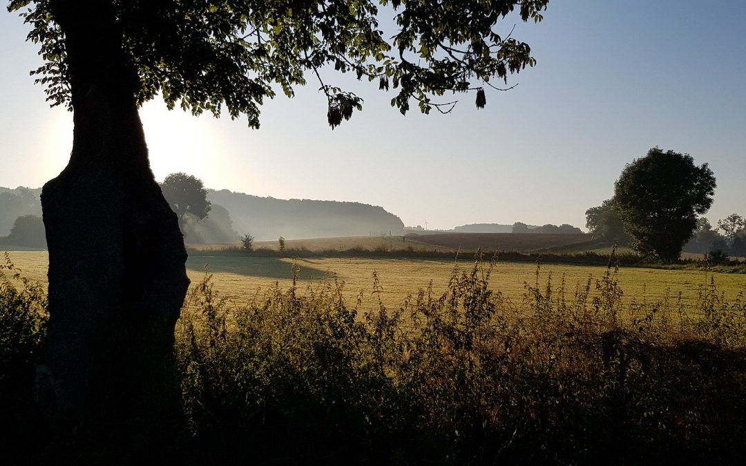 Camperroute: Burgundisches Flair genießen in Süd-Limburg